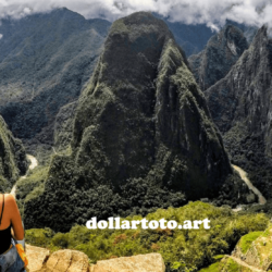 dollartoto