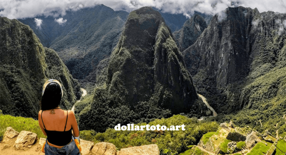 dollartoto