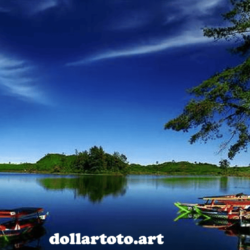 dollartoto