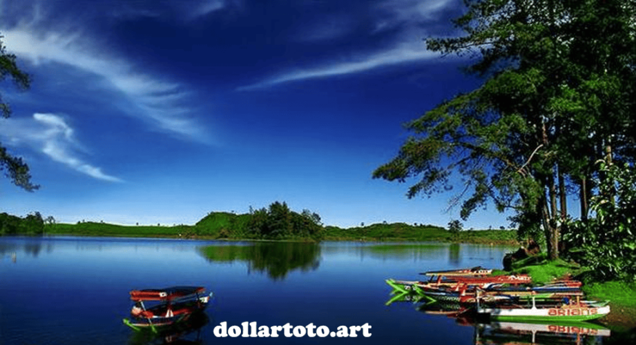 dollartoto