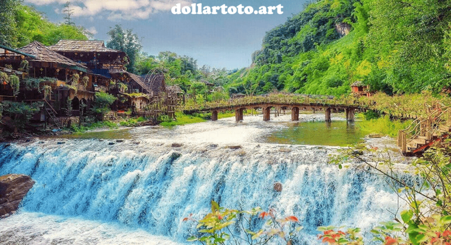 dollartoto