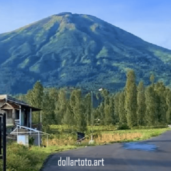 dollartoto
