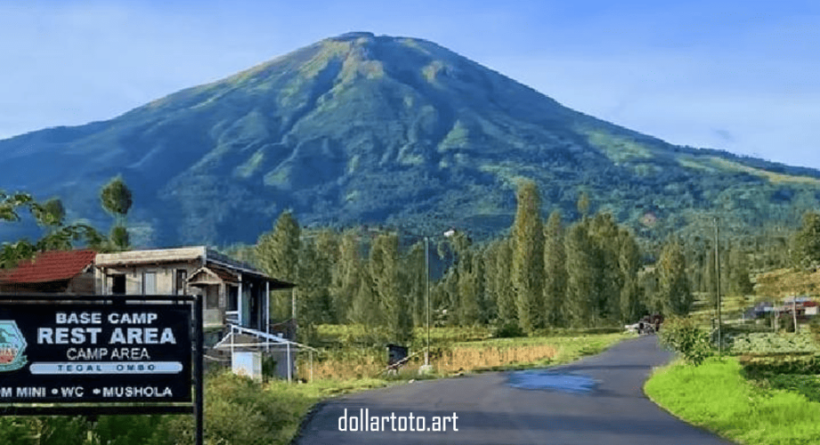 dollartoto