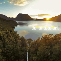 dollartoto