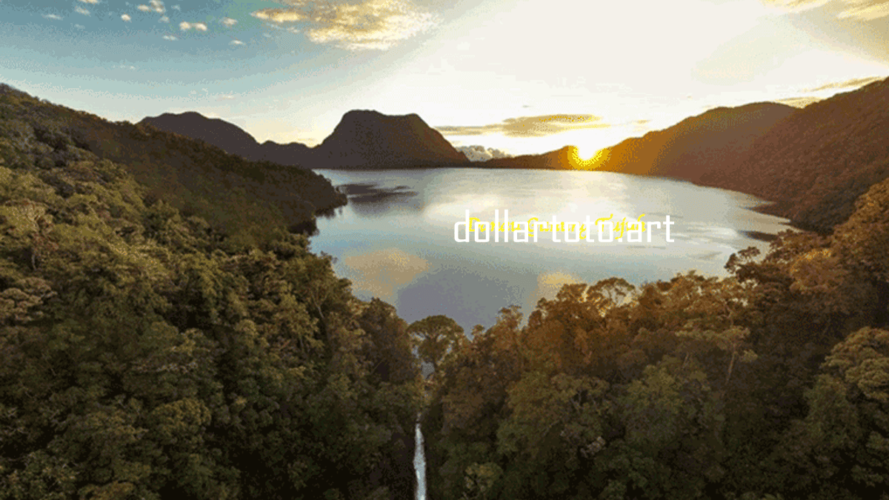 dollartoto